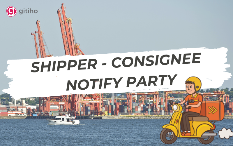 Phân biệt Shipper, Consignee và Notify Party trong xuất nhập khẩu